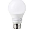 LED Bulbs